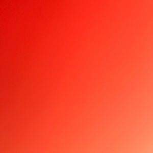 Meet your Posher, Constance